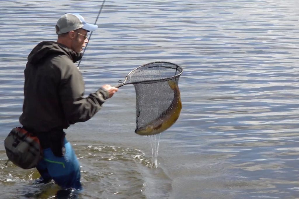 norway dry fly session