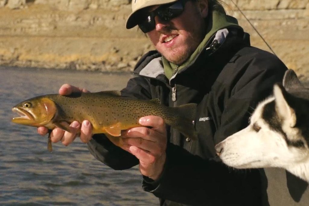 Wild Montana Trout