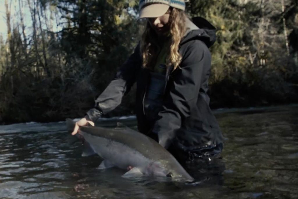 Wild Steelhead