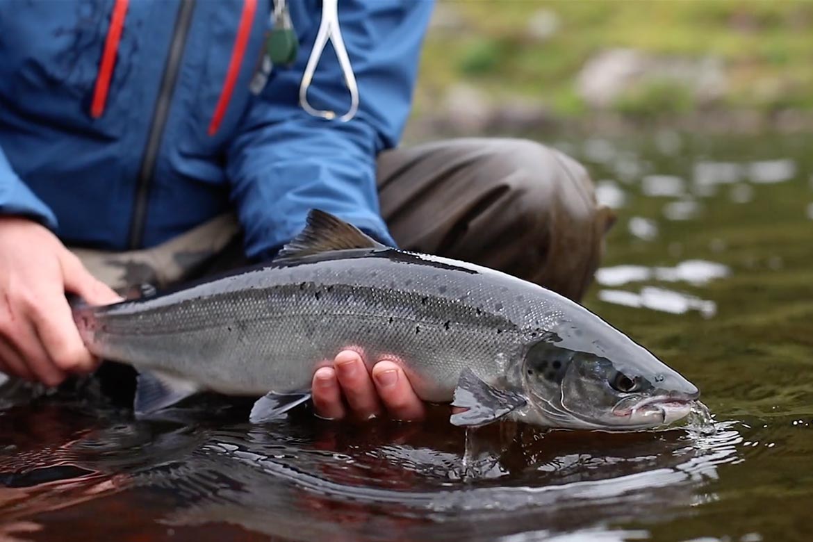 Trouts Lochs and Rivers - North Scotland Fly Fishing —